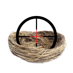 The Sniper's Nest